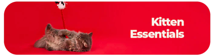 Cat-essentials